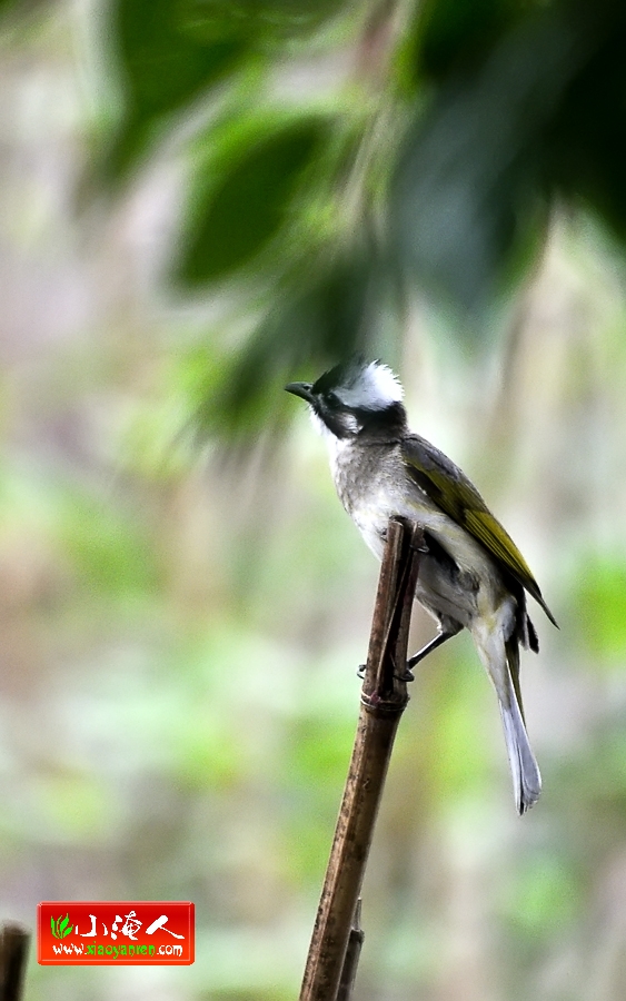 DSC_9547.jpg