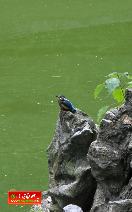 DSC_9678.jpg