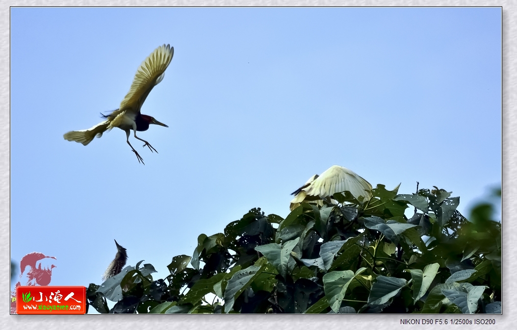DSC_0109.jpg