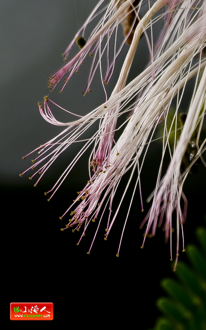 DSC_0562.jpg