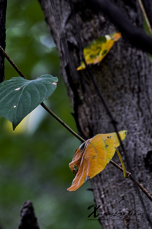 DSC_4298.JPG