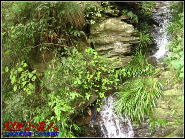 conew_img_5673.jpg