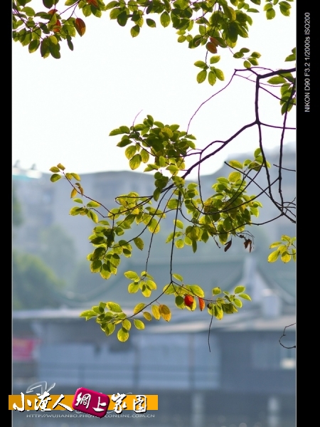 DSC_8900.jpg