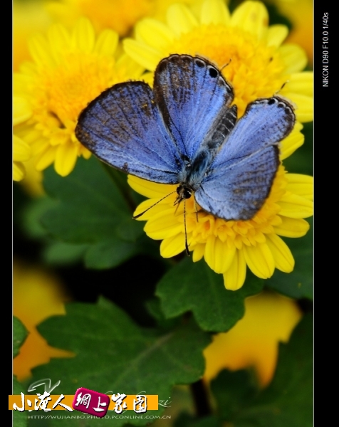 DSC_9005.jpg