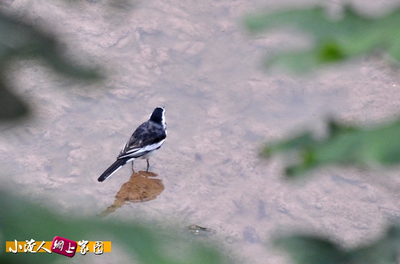 DSC_9129.jpg