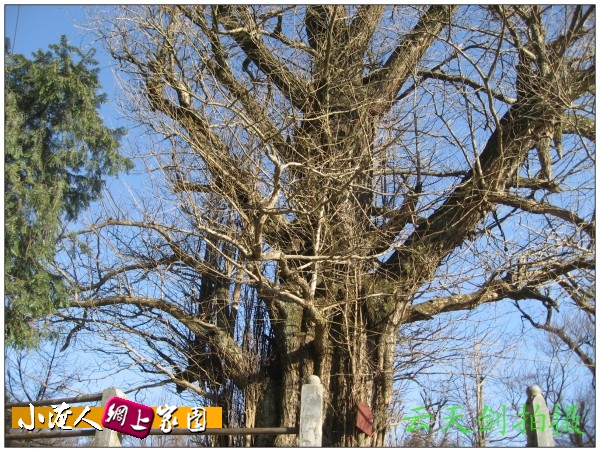 conew_img_7099.jpg