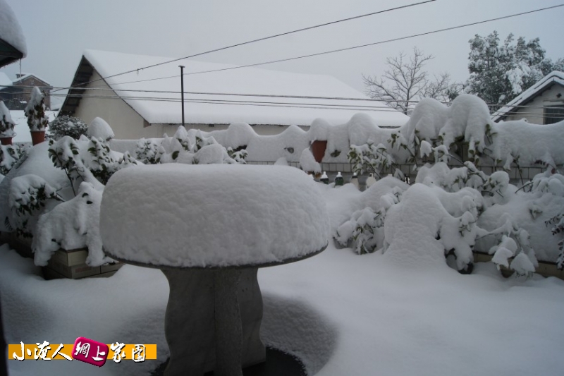 DSC03058_conew1.jpg