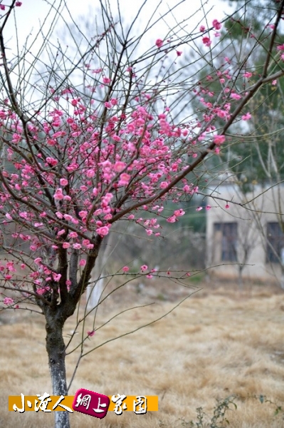 DSC_5739.jpg