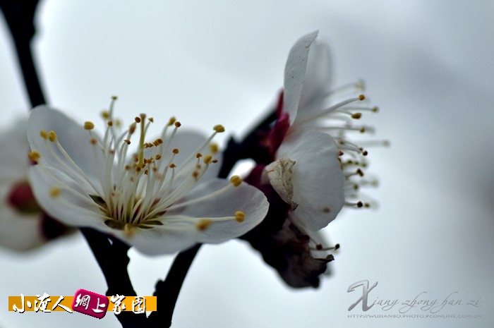 DSC_5667.jpg