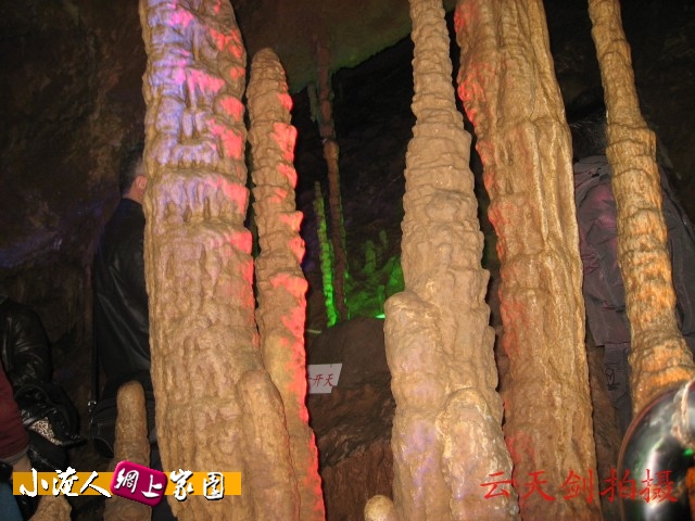 conew_img_8603[1].jpg