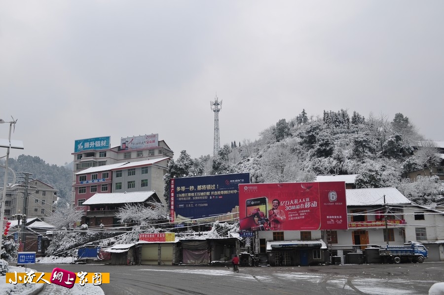 DSC_2269.jpg