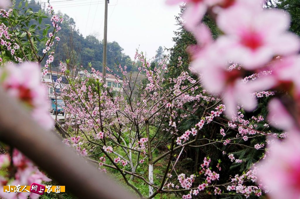 DSC06278_conew1.jpg