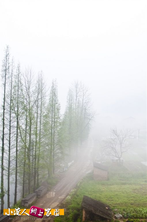 03.jpg