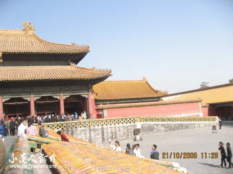 照片 464_conew1.jpg