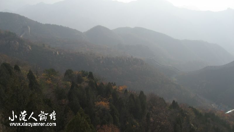 照片 835_conew1.jpg