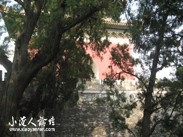 照片 914.jpg