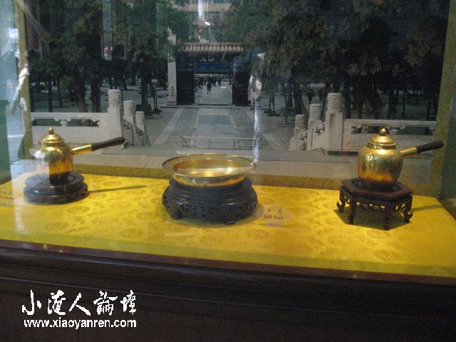 照片 951.jpg