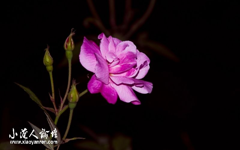 DSC_3286.jpg
