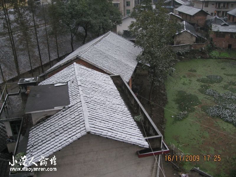 照片 010.jpg