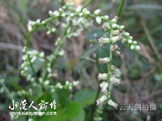 照片 122_副本.jpg