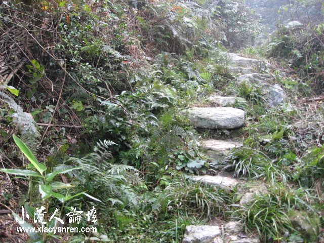 照片 086.jpg
