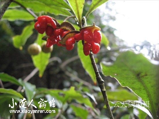 照片 092_副本.jpg