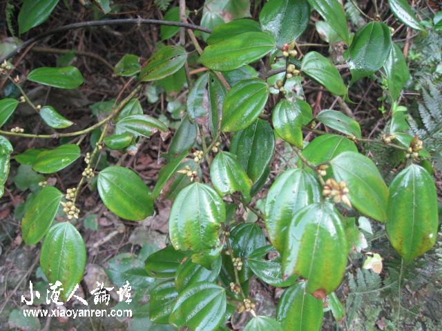 照片 088.jpg
