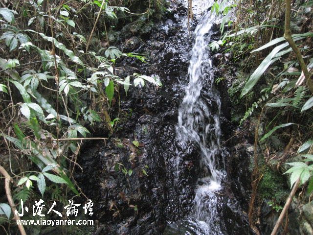 照片 081.jpg