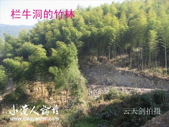 照片 011_副本.jpg