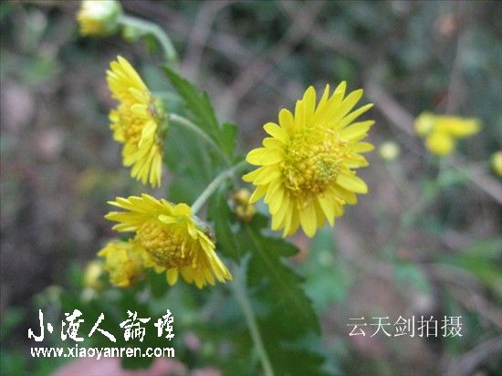 照片 104_副本.jpg