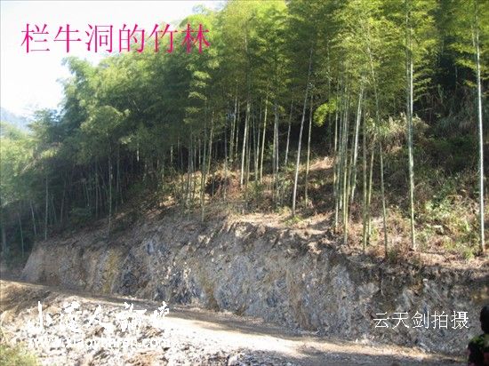 照片 014_副本.jpg
