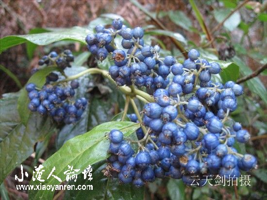 照片 054_副本.jpg