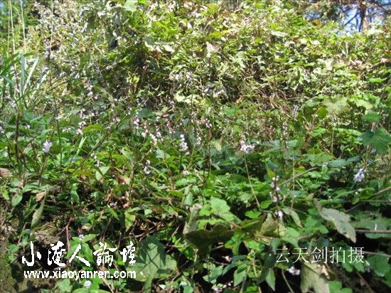 照片 027_副本.jpg