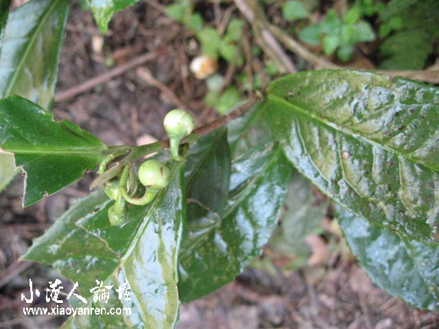 照片 061.jpg