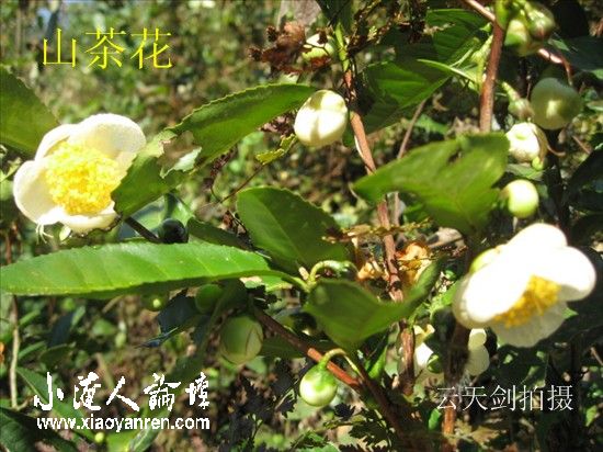 照片 039_副本.jpg