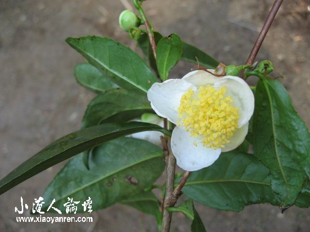 照片 049.jpg