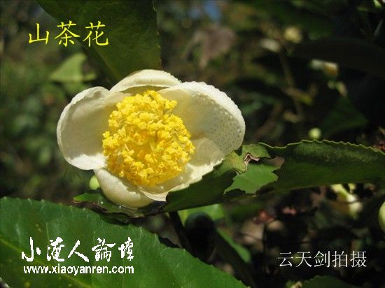 照片 041_副本.jpg