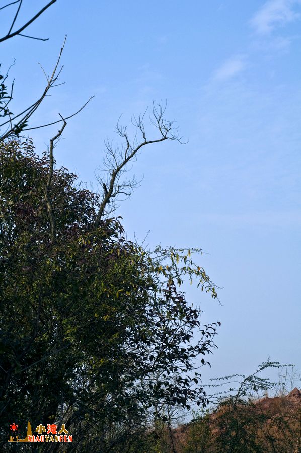 DSC_4212.JPG