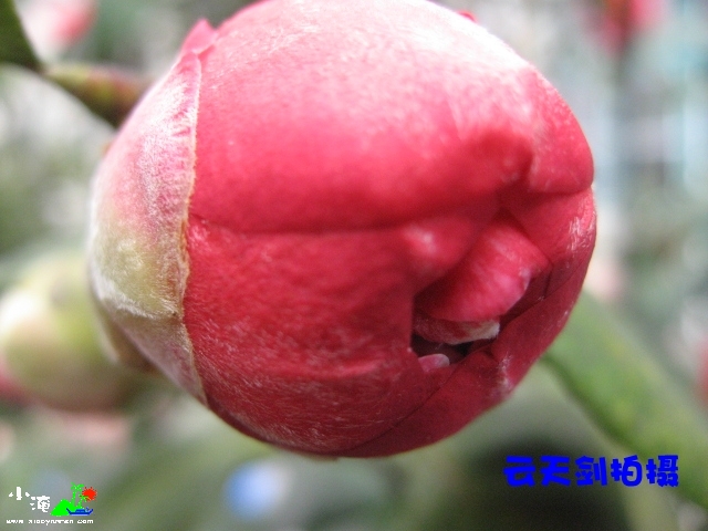 照片 036_conew1.jpg
