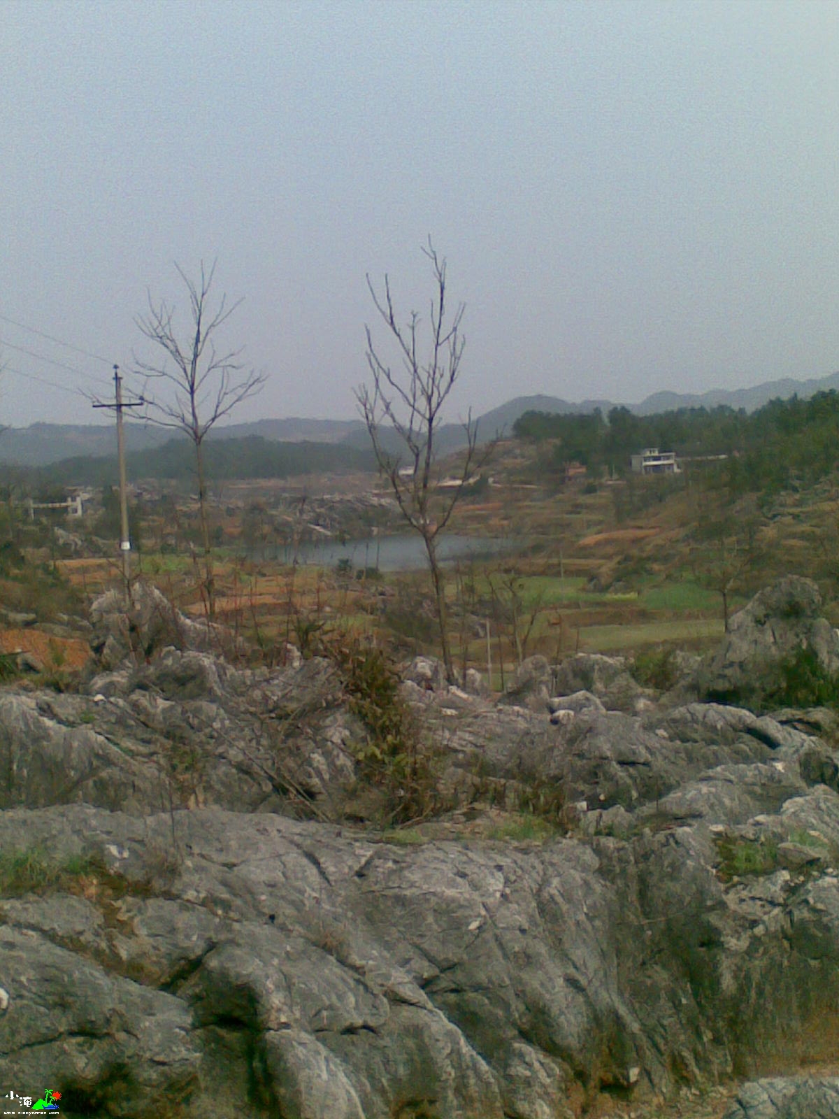 旋转 20100316_003.jpg